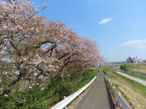 IMG_2700.jpg