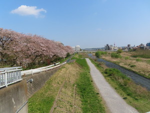 IMG_2701.jpg