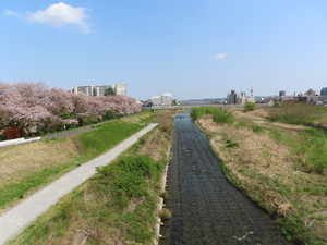 IMG_2702.jpg