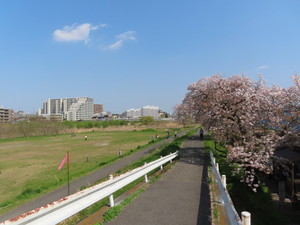IMG_2703.jpg