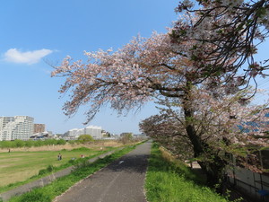 IMG_2704.jpg