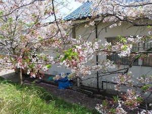 IMG_2705.jpg