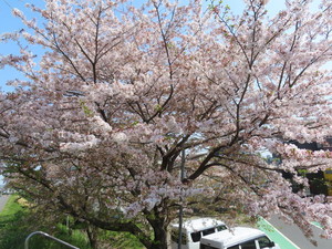 IMG_2706.jpg
