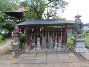 IMG_2710.jpg
