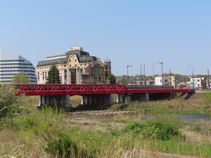 IMG_2713.jpg
