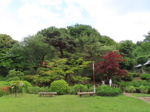 IMG_2714.jpg