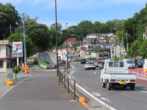IMG_2741.jpg