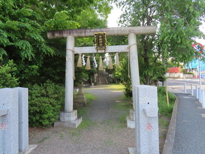 IMG_2744.jpg