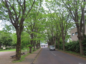 IMG_2747.jpg