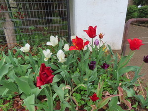 IMG_2755.jpg