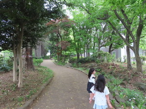 IMG_2756.jpg