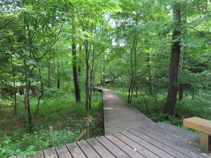 IMG_2776.jpg
