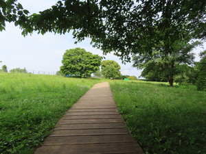 IMG_2791.jpg