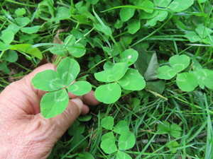 IMG_2792.jpg
