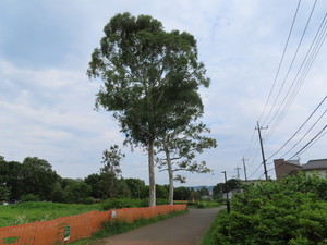 IMG_2804.jpg