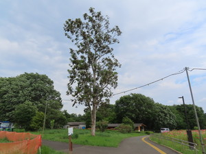 IMG_2805.jpg