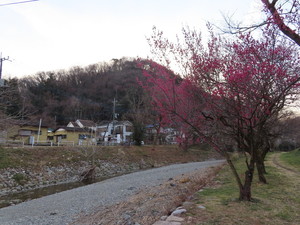 IMG_2818.jpg