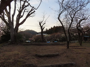 IMG_2821.jpg