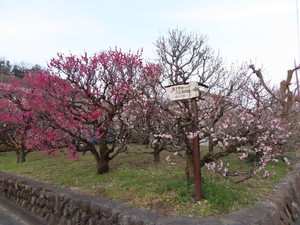 IMG_2835.jpg