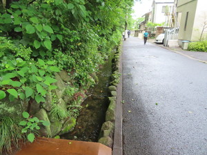 IMG_2844.jpg