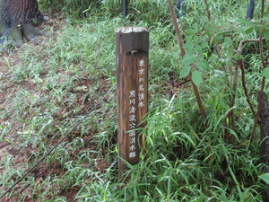 IMG_2853.jpg