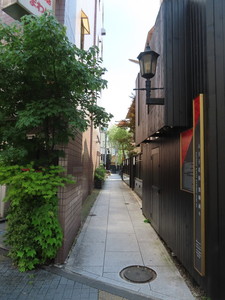 IMG_2855.jpg