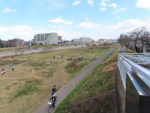 IMG_2856.jpg