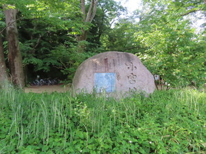 IMG_2858.jpg