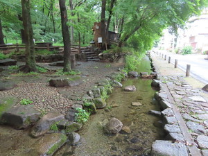 IMG_2861.jpg