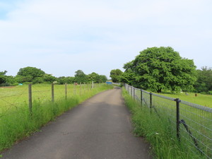 IMG_2861.jpg