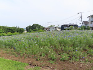 IMG_2863.jpg