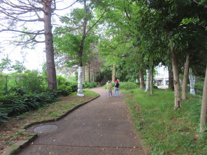 IMG_2867.jpg
