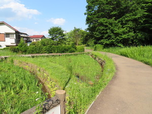 IMG_2897.jpg