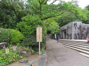 IMG_2903.jpg