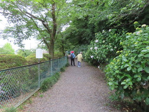 IMG_2904.jpg