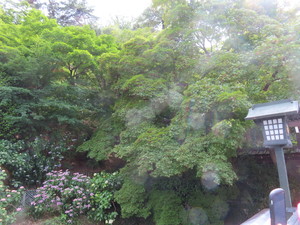 IMG_2910.jpg