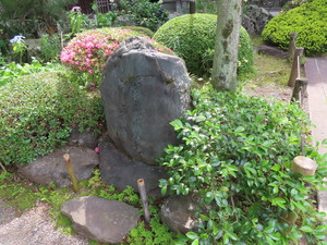 IMG_2918.jpg