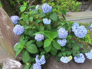 IMG_2920.jpg