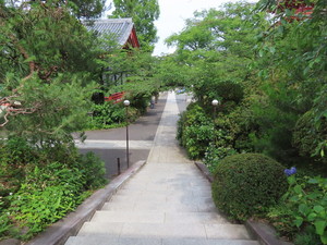 IMG_2925.jpg