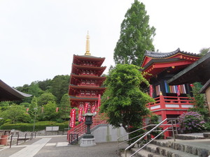 IMG_2945.jpg