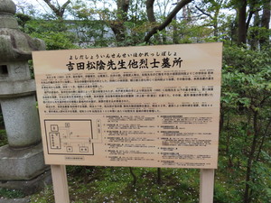 IMG_2945.jpg