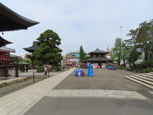 IMG_2946.jpg