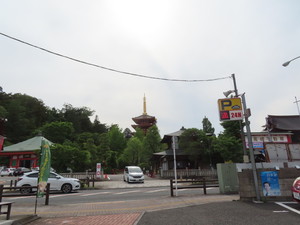 IMG_2948.jpg