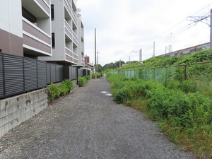 IMG_2964.jpg