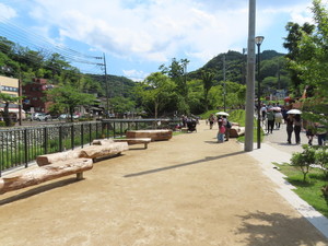 IMG_2966.jpg