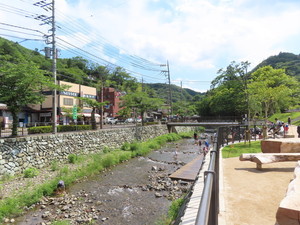 IMG_2967.jpg