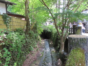 IMG_2970.jpg