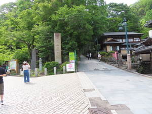 IMG_2973.jpg