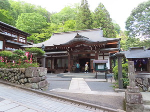 IMG_2974.jpg