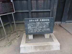 IMG_2974.jpg